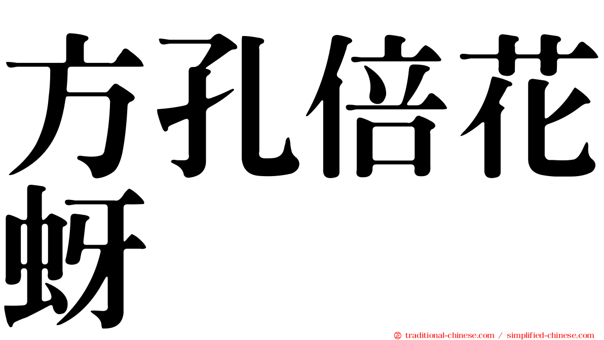 方孔倍花蚜