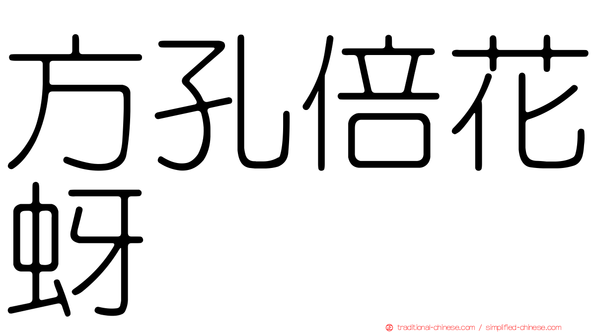 方孔倍花蚜