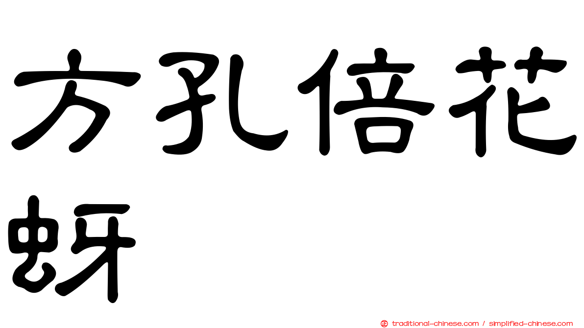 方孔倍花蚜