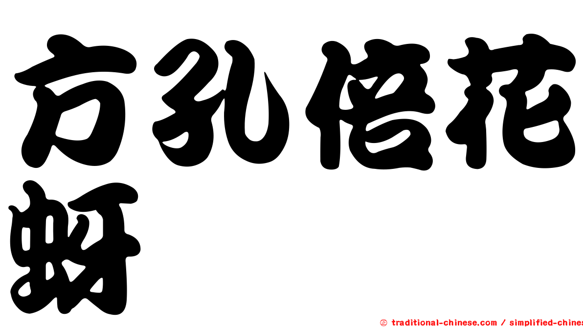 方孔倍花蚜