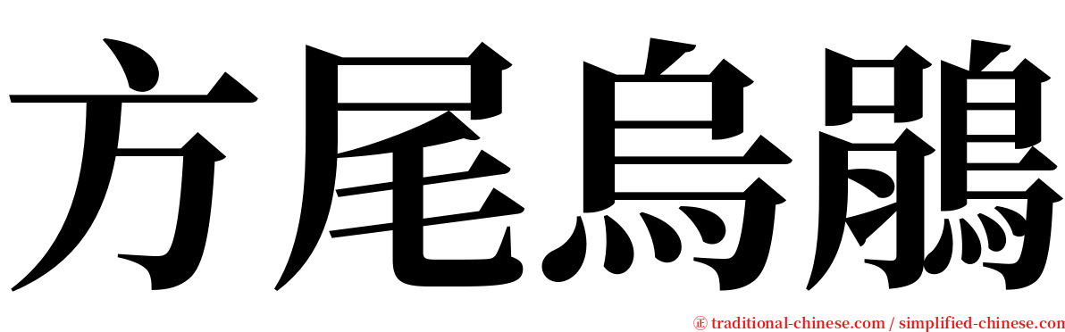 方尾烏鵑 serif font