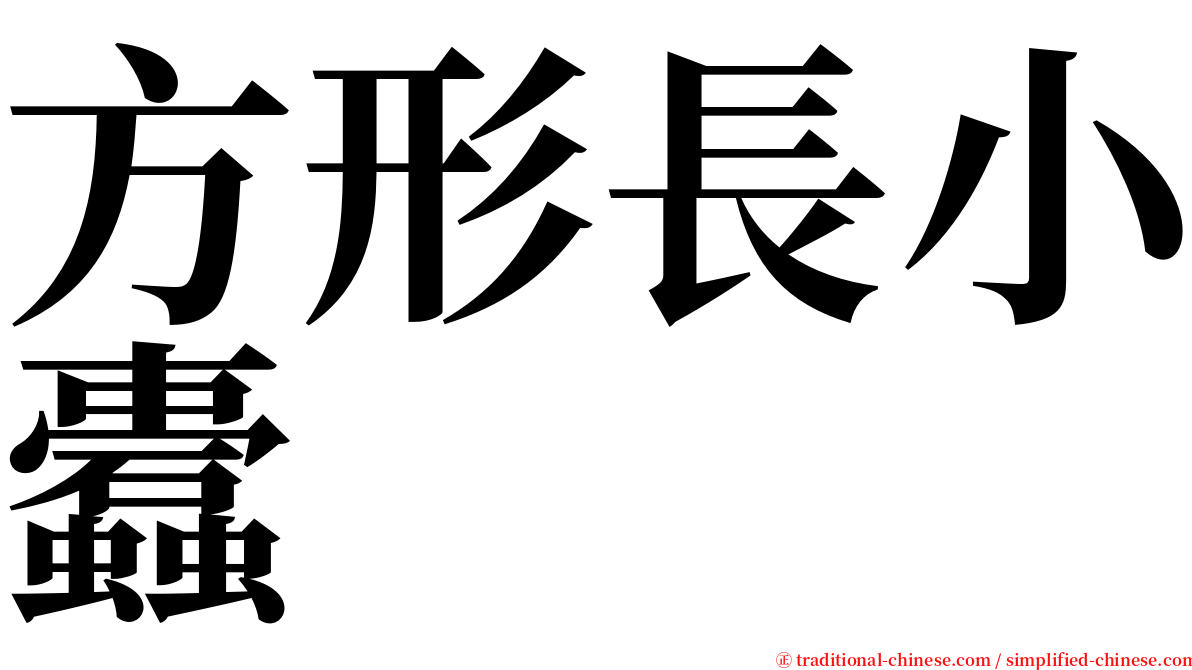 方形長小蠹 serif font