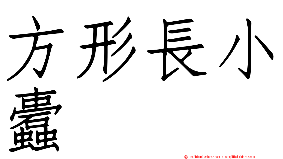 方形長小蠹