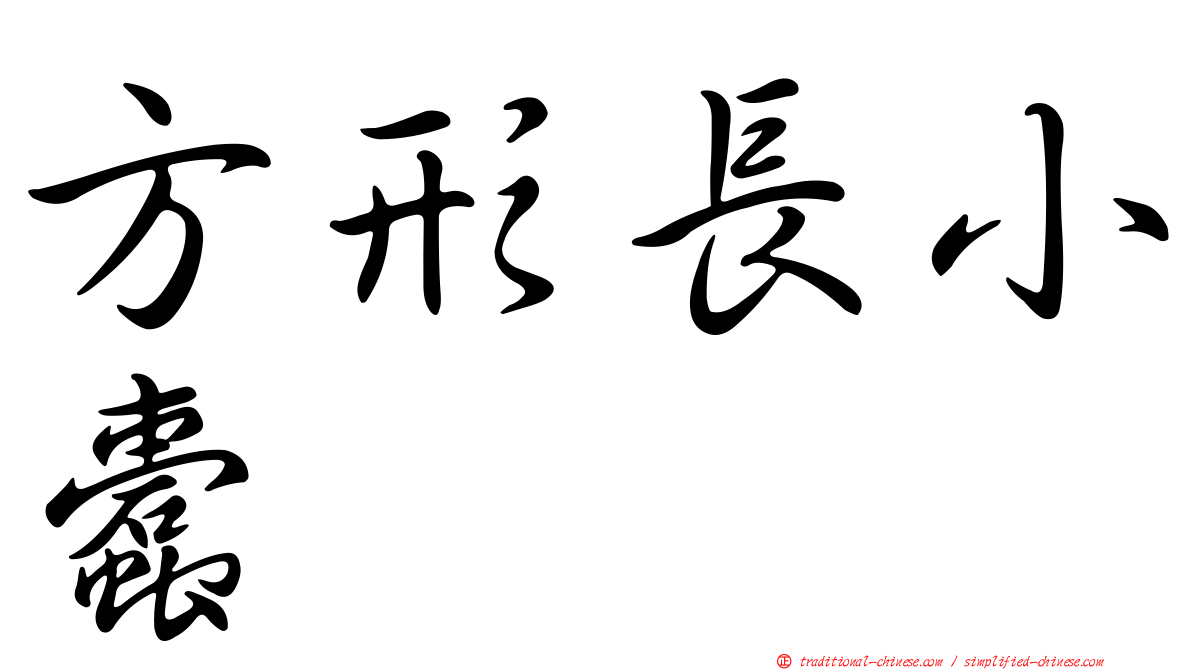 方形長小蠹