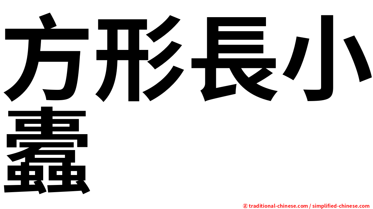 方形長小蠹