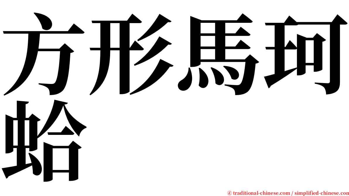 方形馬珂蛤 serif font