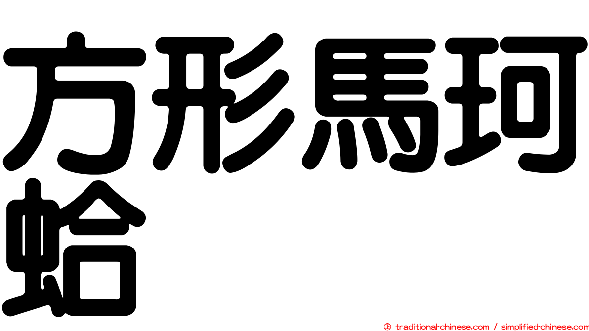 方形馬珂蛤