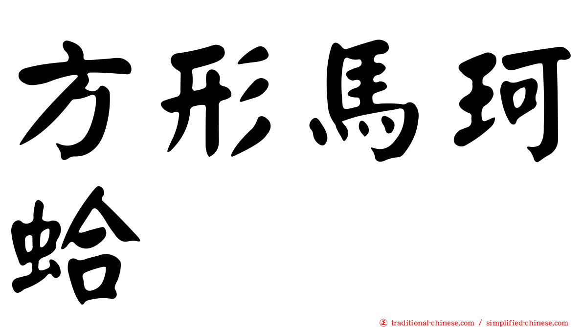 方形馬珂蛤