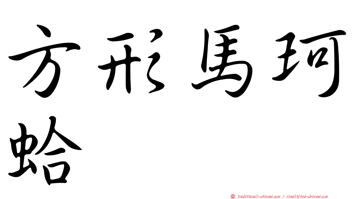 方形馬珂蛤