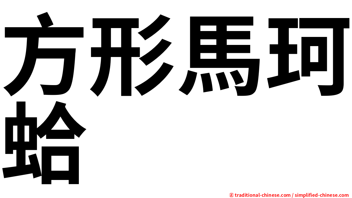 方形馬珂蛤