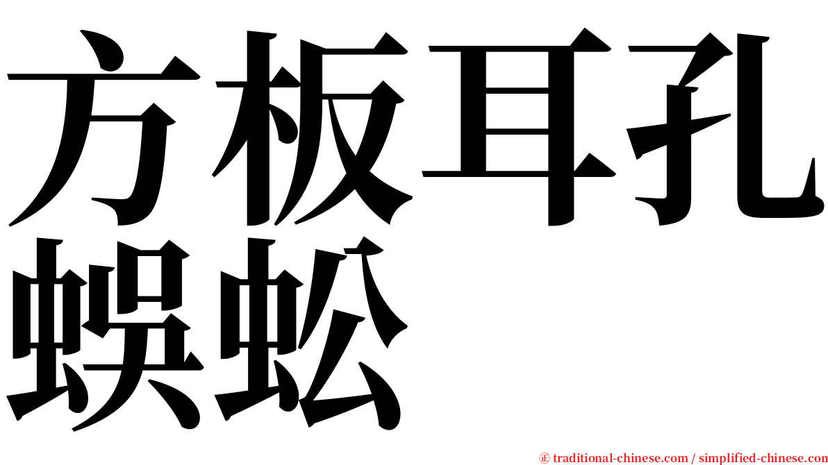 方板耳孔蜈蚣 serif font