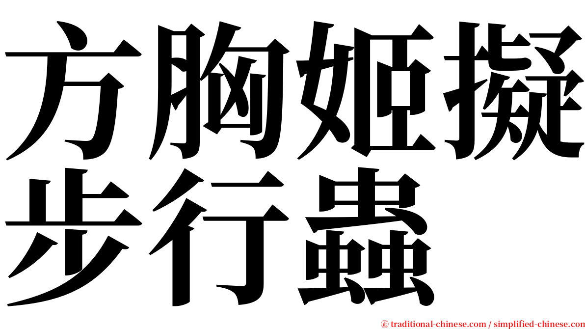 方胸姬擬步行蟲 serif font