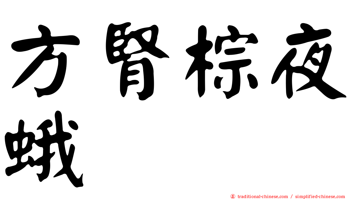 方腎棕夜蛾