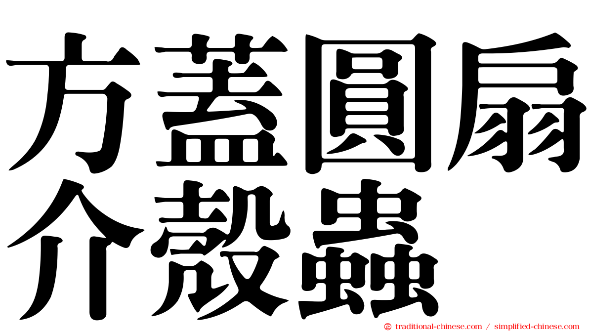 方蓋圓扇介殼蟲