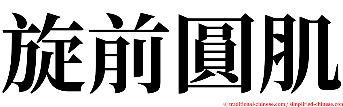 旋前圓肌 serif font