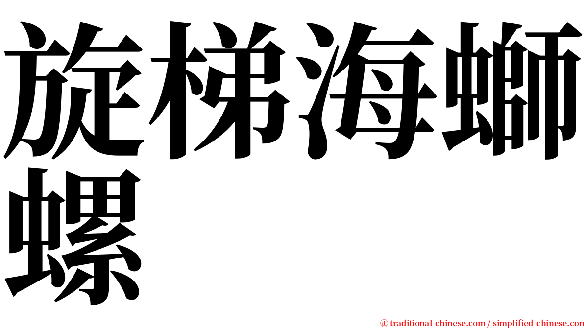 旋梯海螄螺 serif font