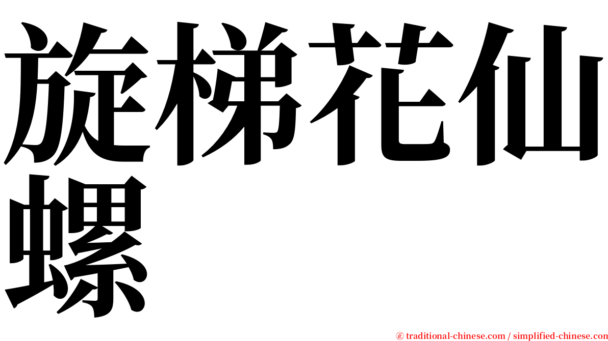 旋梯花仙螺 serif font