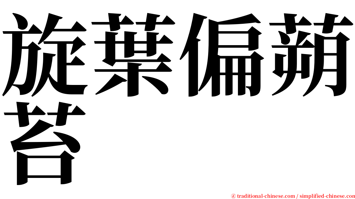 旋葉偏蒴苔 serif font