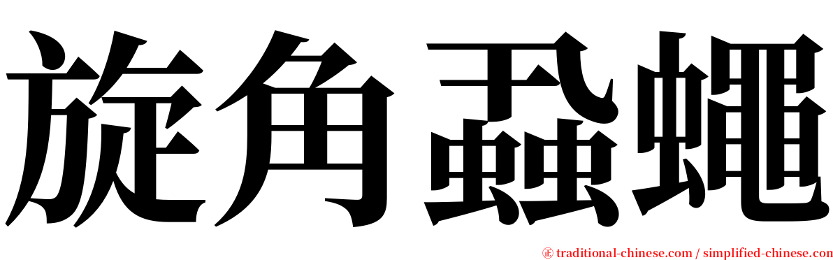 旋角蝨蠅 serif font