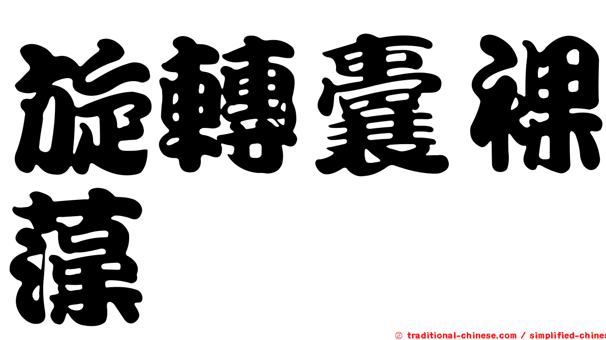 旋轉囊裸藻