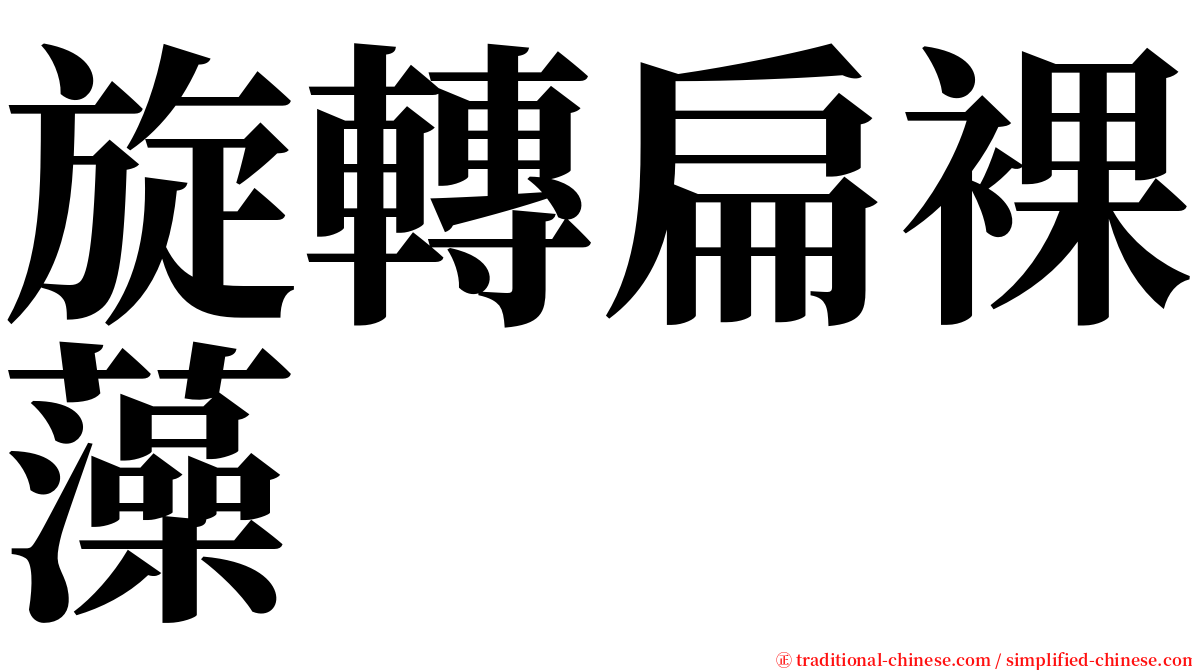 旋轉扁裸藻 serif font