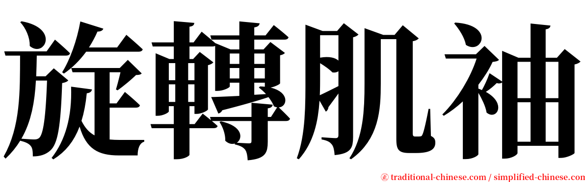 旋轉肌袖 serif font