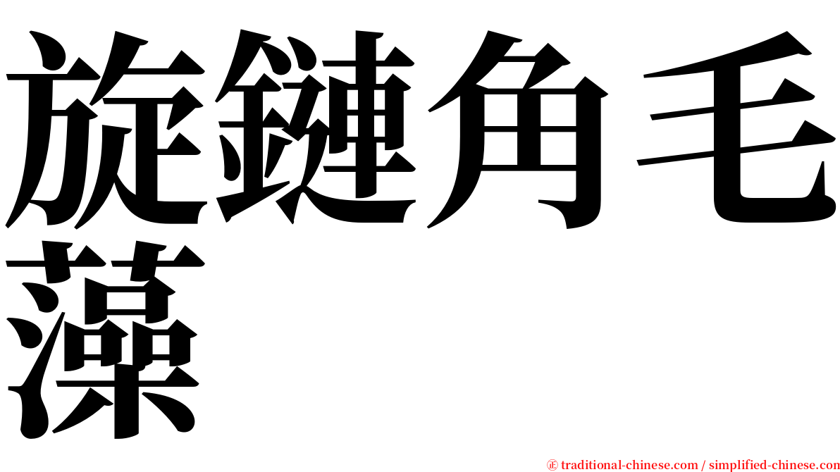 旋鏈角毛藻 serif font