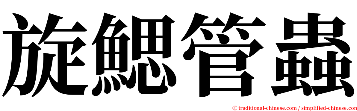 旋鰓管蟲 serif font