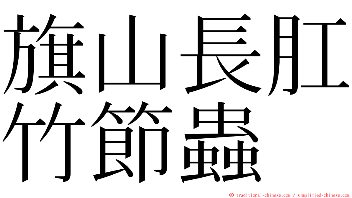 旗山長肛竹節蟲 ming font