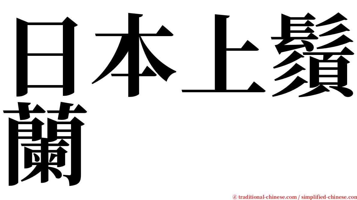 日本上鬚蘭 serif font
