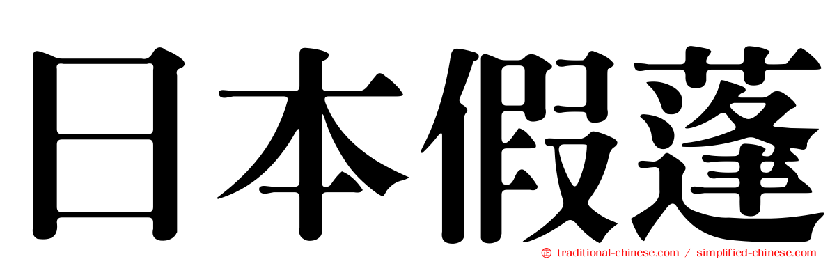 日本假蓬