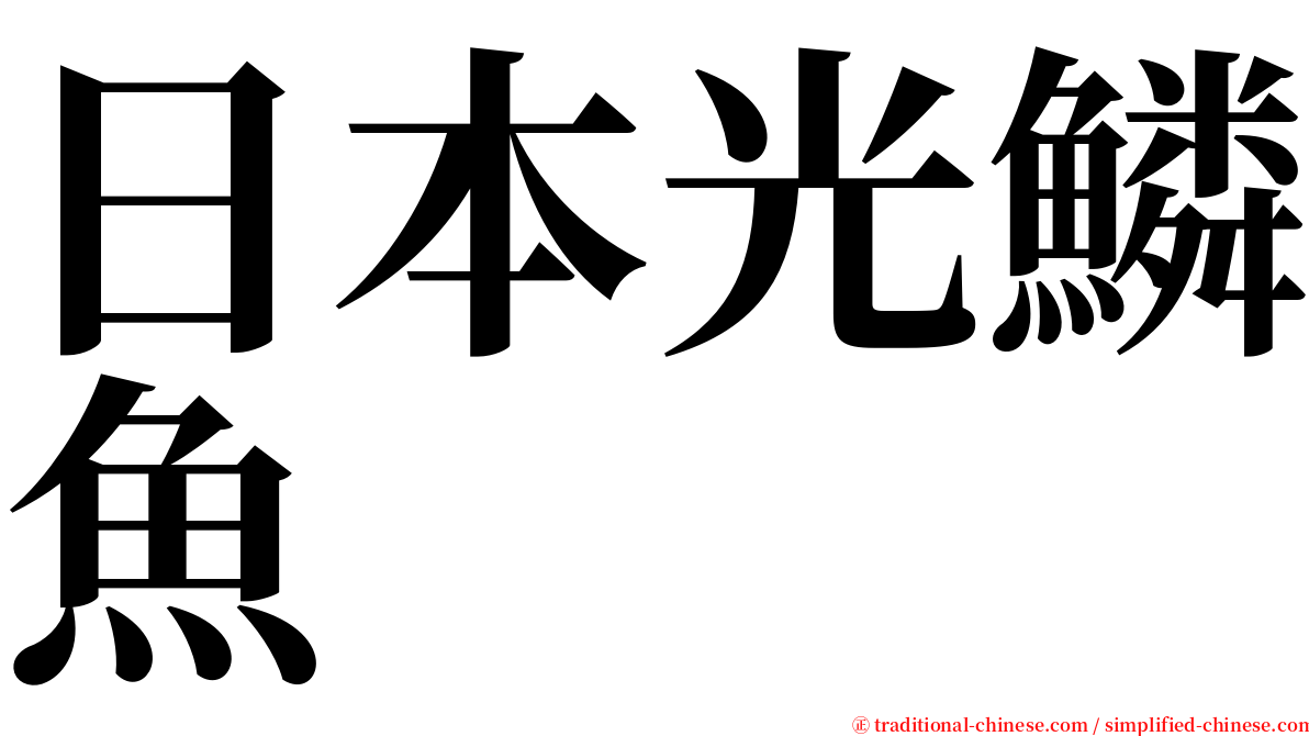 日本光鱗魚 serif font