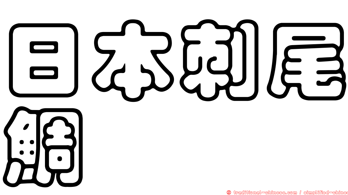 日本刺尾鯛