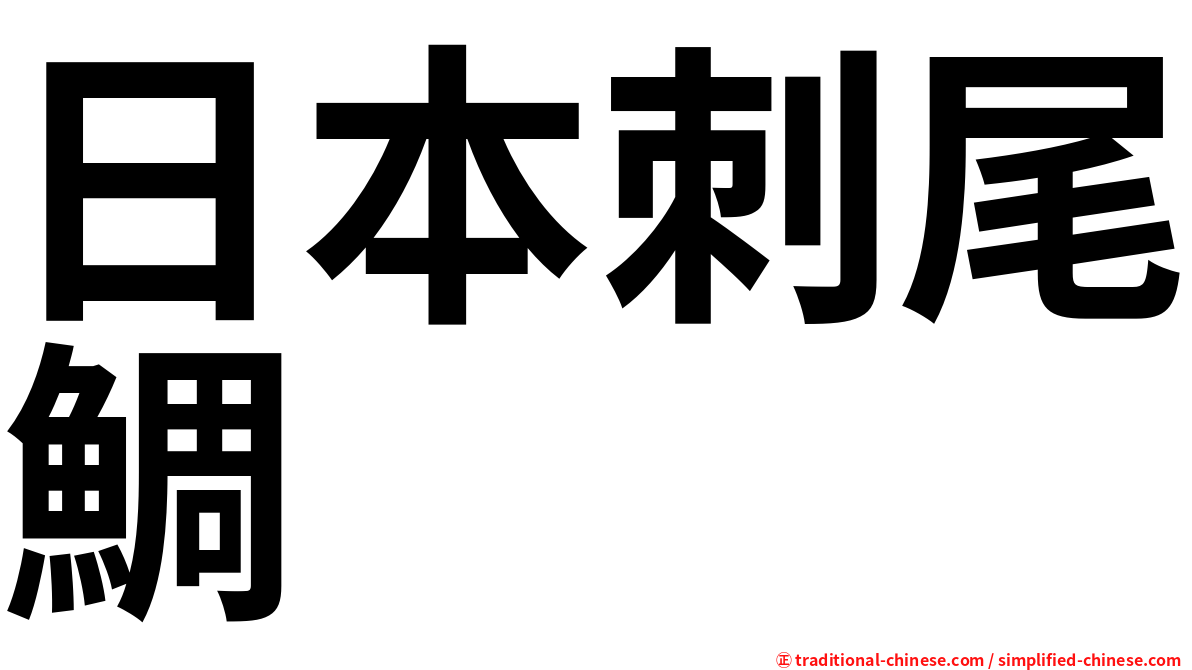 日本刺尾鯛