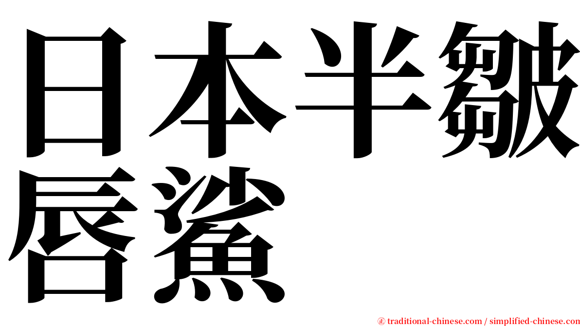 日本半皺唇鯊 serif font