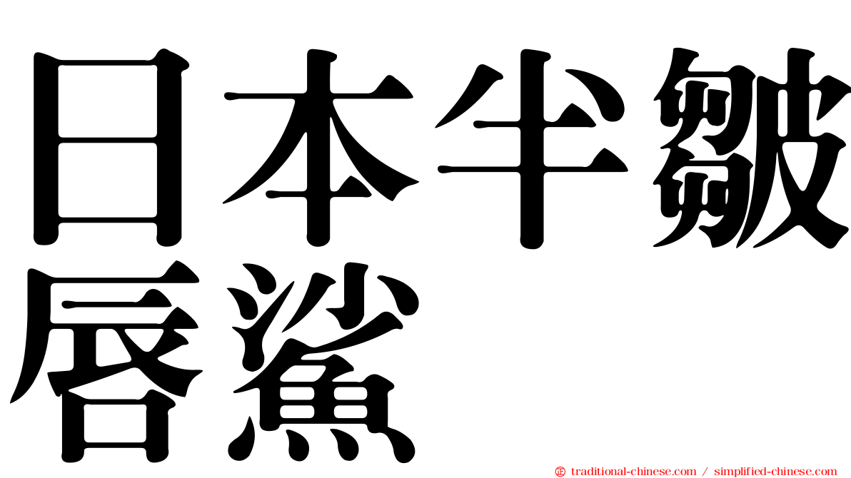 日本半皺唇鯊