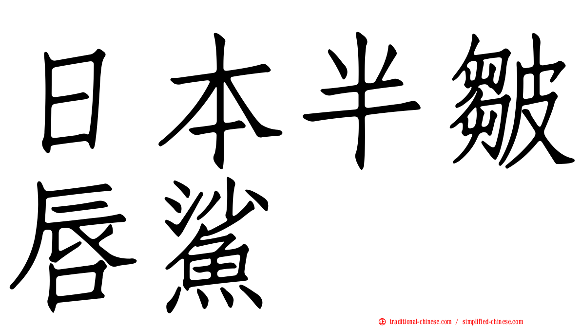 日本半皺唇鯊