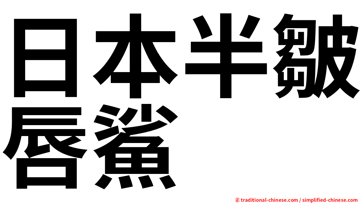 日本半皺唇鯊