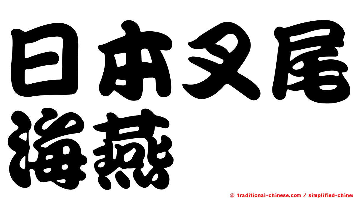 日本叉尾海燕