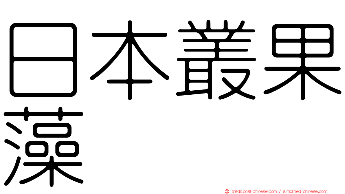 日本叢果藻