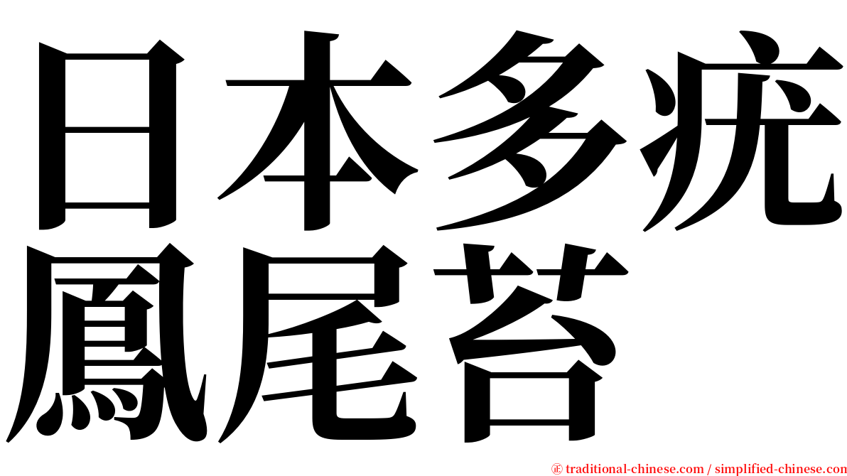 日本多疣鳳尾苔 serif font