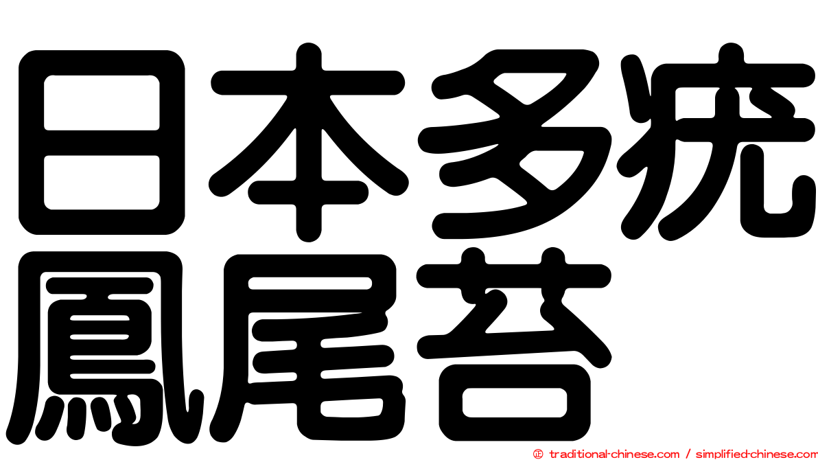 日本多疣鳳尾苔