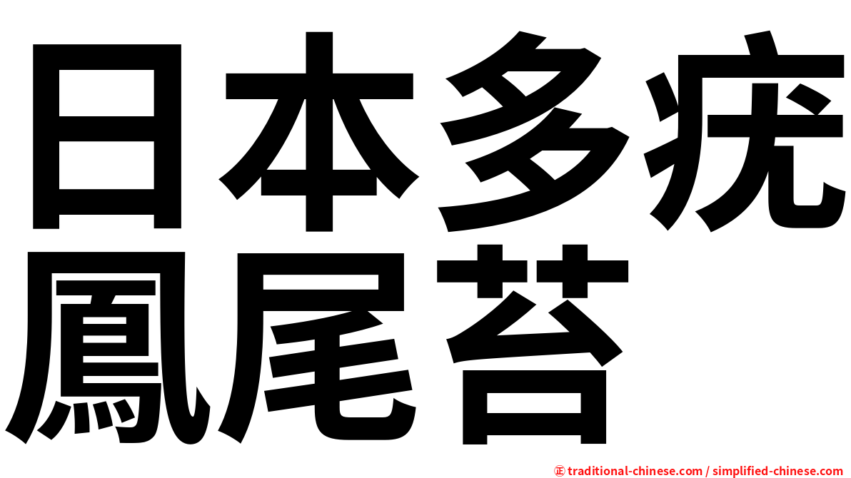 日本多疣鳳尾苔