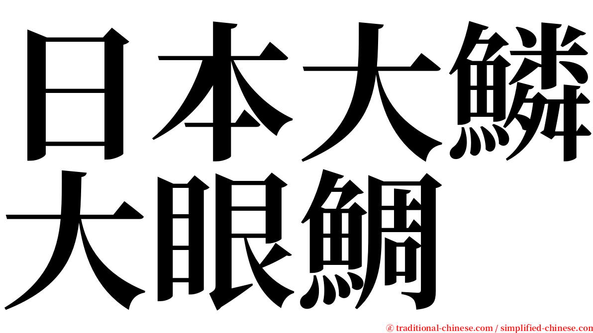 日本大鱗大眼鯛 serif font