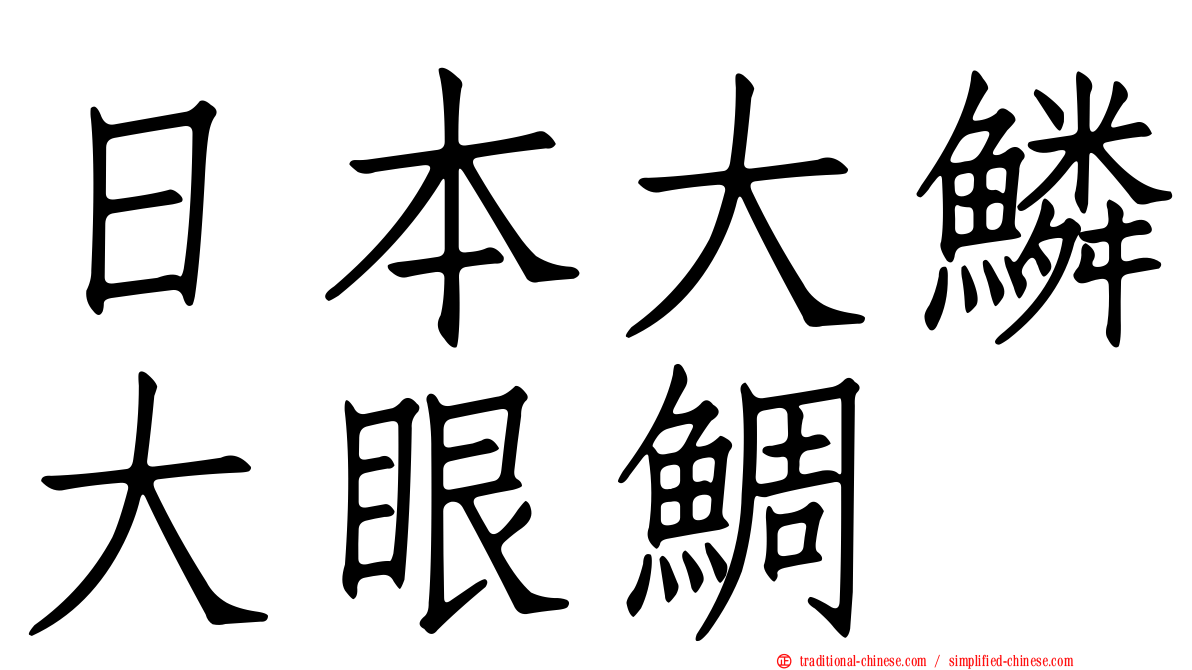 日本大鱗大眼鯛