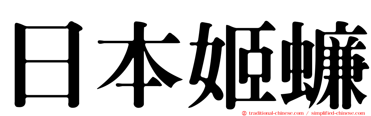 日本姬蠊