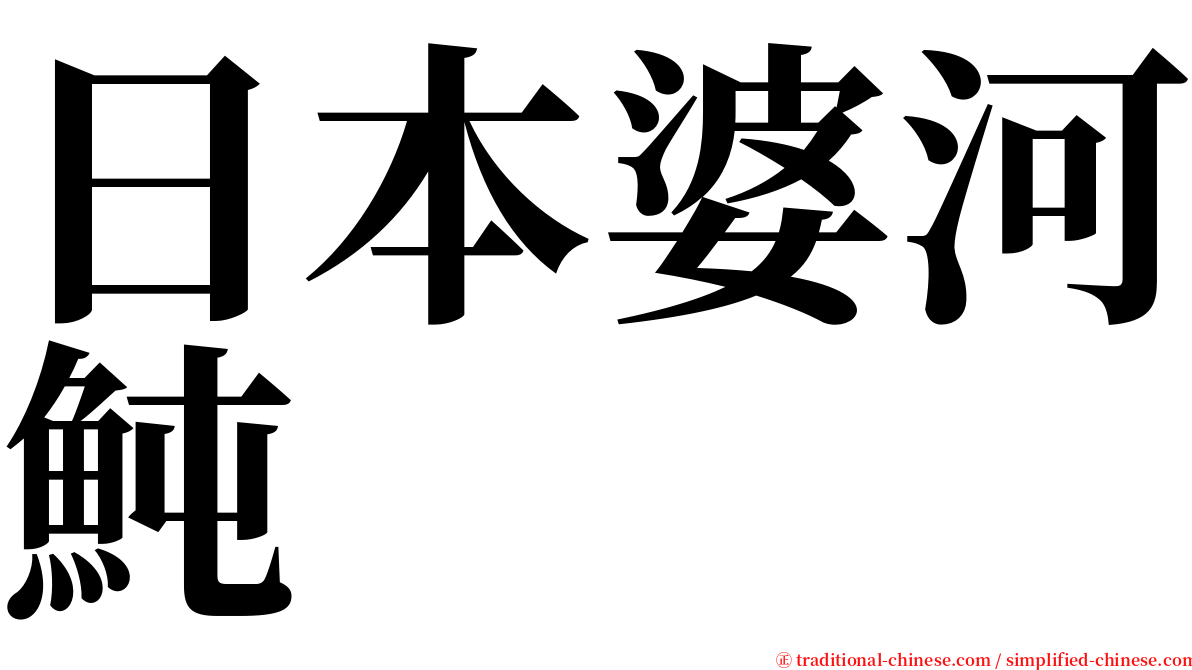 日本婆河魨 serif font