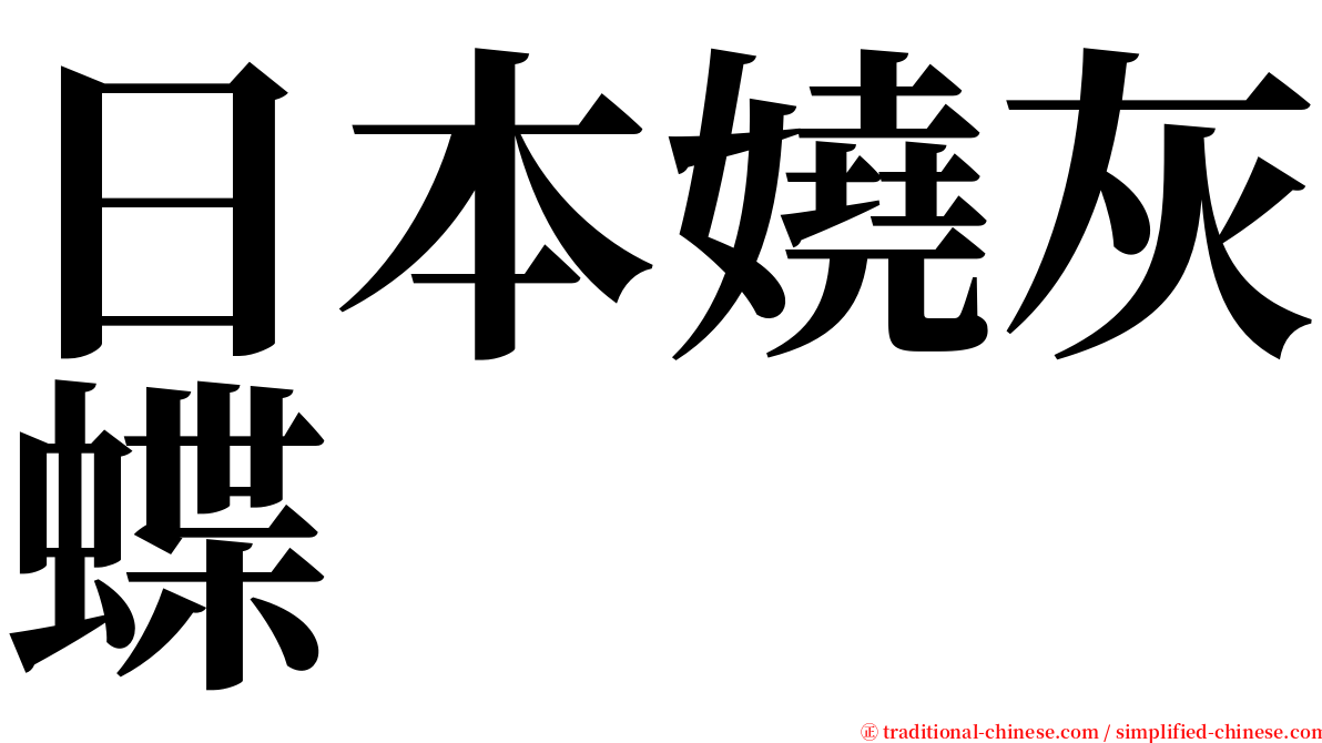 日本嬈灰蝶 serif font