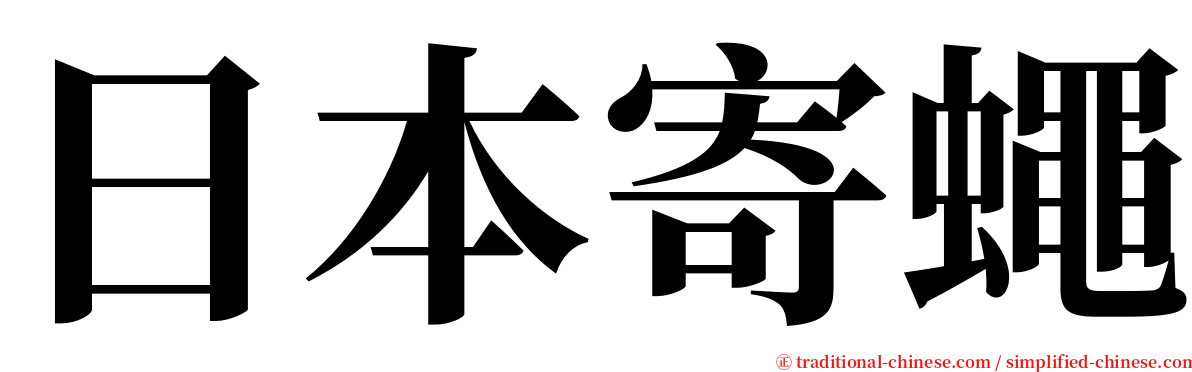 日本寄蠅 serif font