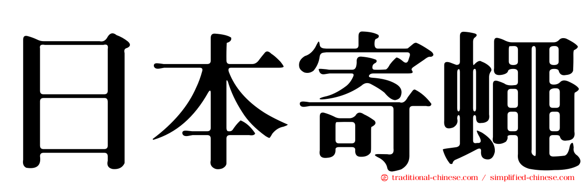 日本寄蠅